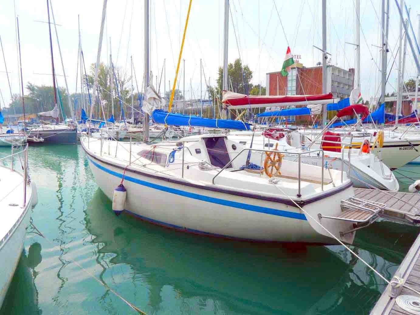 Balaton 31 | Tyrannos